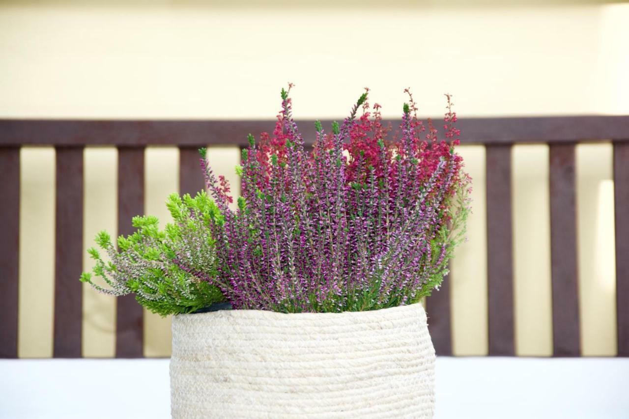 La Terrazza Di Isabel Casa vacanze *